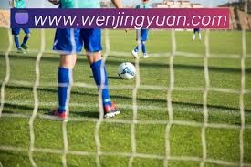 樊振东再获英超官方认可展现体育精神